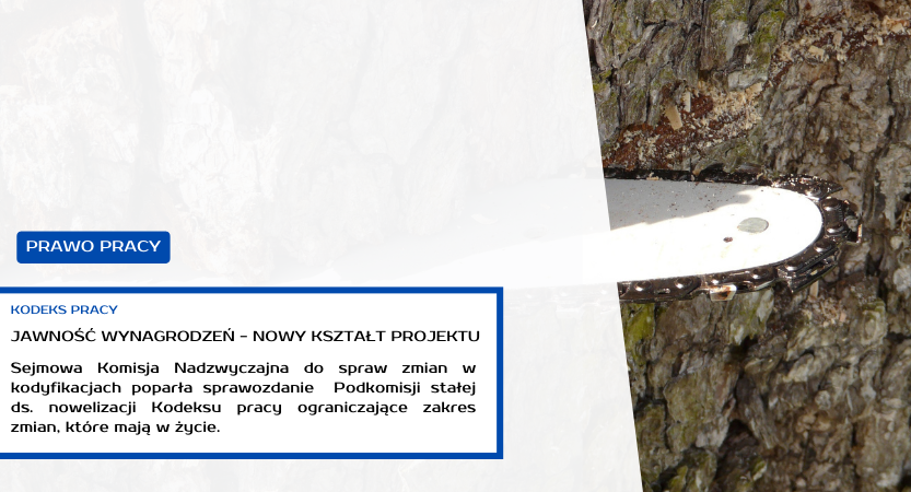 JAWNOŚĆ WYNAGRODZEŃ – NOWA WERSJA PROJEKTU